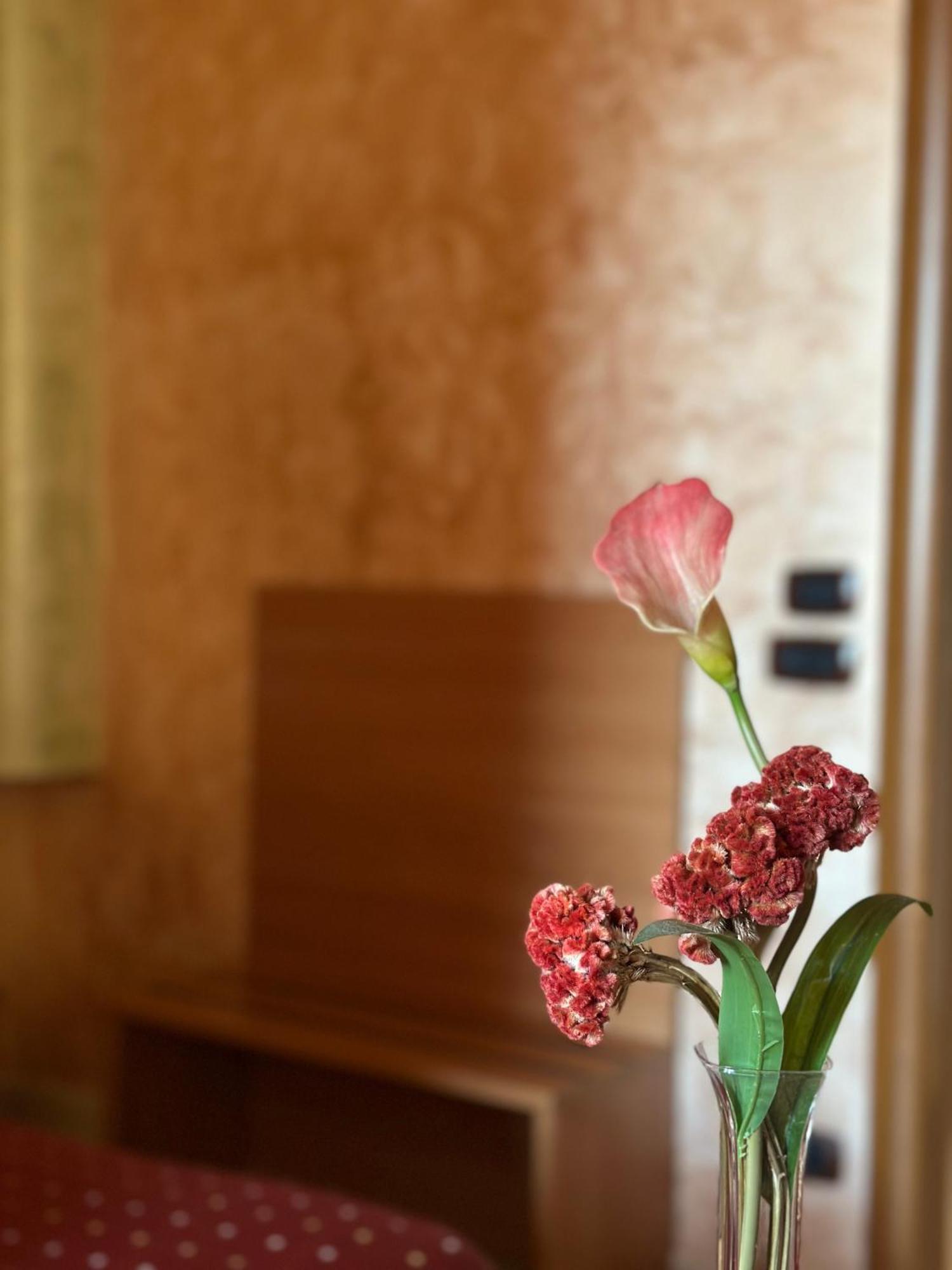 Hotel Il Giardino Degli Aranci ノーラ エクステリア 写真